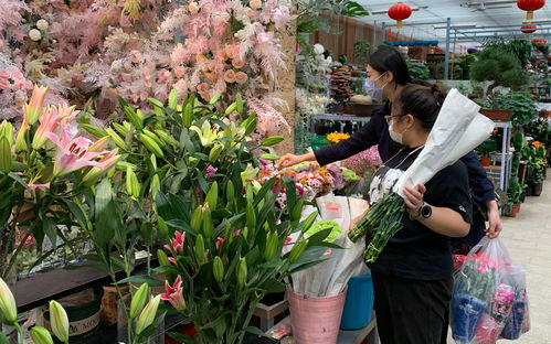 鲜花包装纸一般哪里有卖(鲜花包装纸厂家直销) 20240610更新