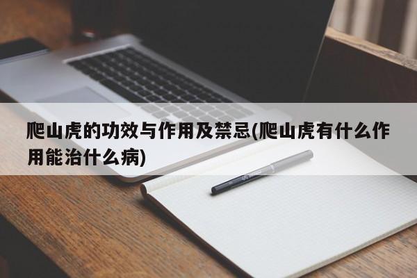 爬山虎的功效与作用及禁忌(爬山虎有什么作用能治什么病) 20240720更新